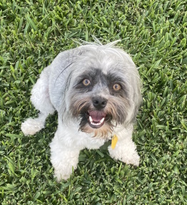 Max in TX EYES IMG 4293 Cropped