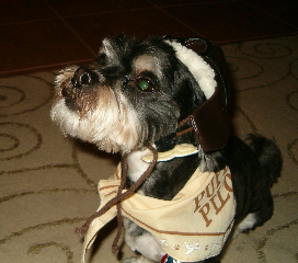 poohbear_in_costume